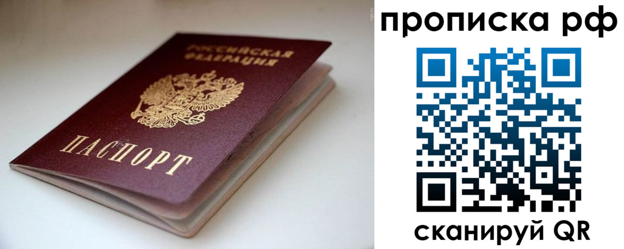 прописка 2025 в Новомосковске